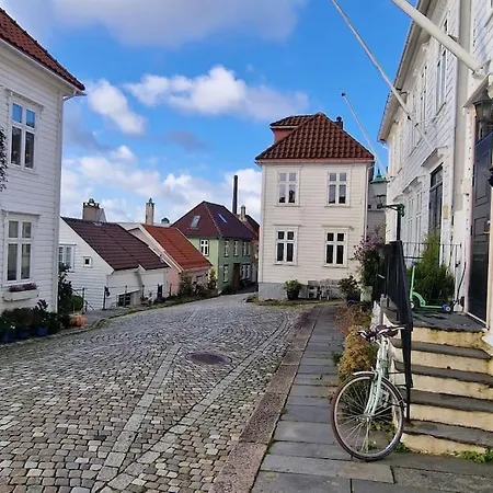 Det Gronne Huset I Verftsgaten Villa Bergen